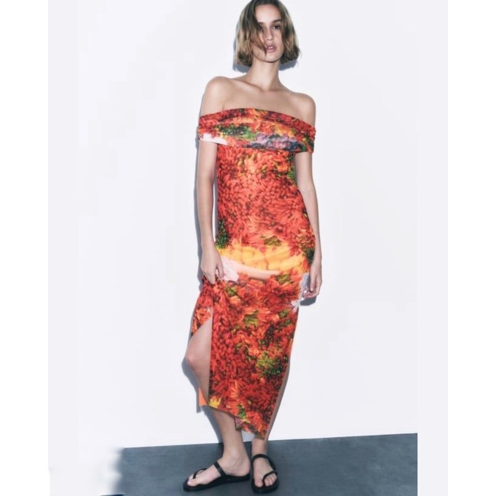 Zara colorful mesh fruit off shoulder midi dress NEW